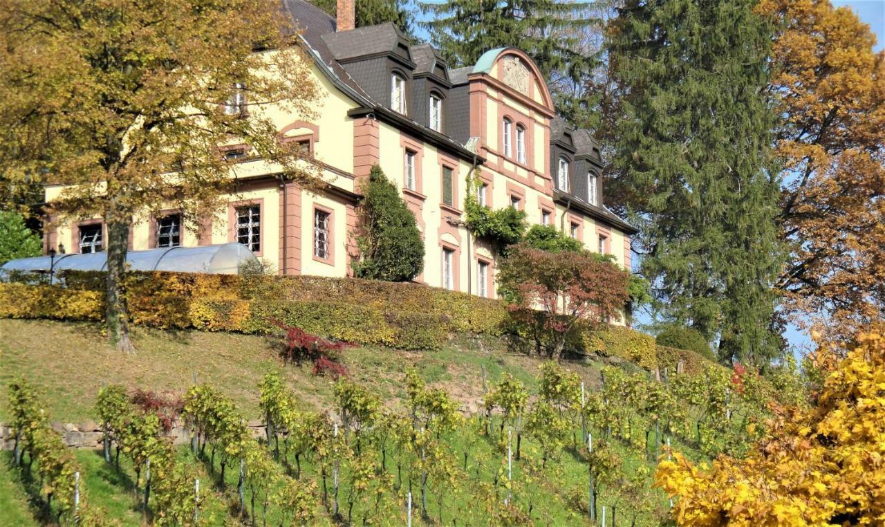 Wein Lodge Durbach - Josephsberg Exterior photo